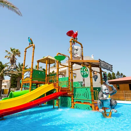 Globales Delfines קאלה אן בלאנס